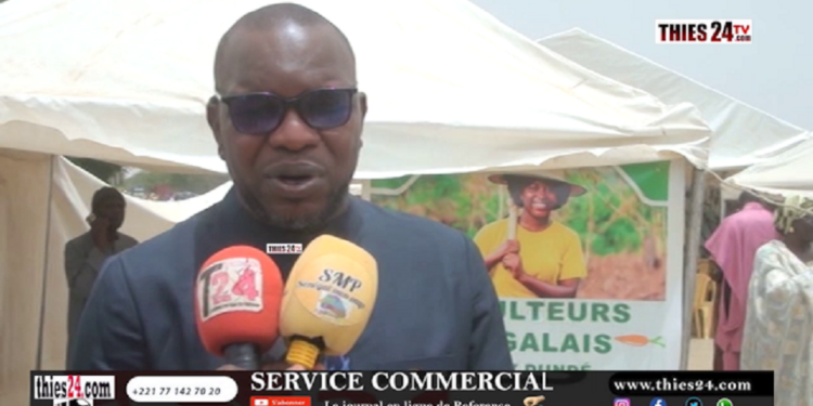 Vidéo/Mini foire national à Thiès avec le club des créateurs, entrepreneurs du Sénégal
