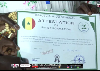 Vidéo/Autonomie économique, Massamba Diop MASLA forme 190 femmes et titille les politiciens