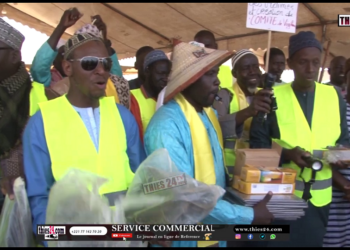 Vidéo/Vol de bétail, 62% des infractions commises en 2025, le ras-le-bol des éleveurs
