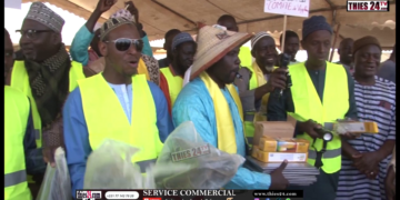 Vidéo/Vol de bétail, 62% des infractions commises en 2025, le ras-le-bol des éleveurs