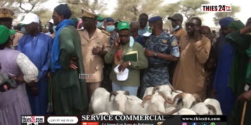 Vidéo/ A 5 jours de la tabaski, 25.800 moutons recensés à Touba Toul contre 25 500 l&rsquo;année dernière à la même période
