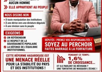 « Non au tripatouillage constitutionnel », s&rsquo;exclame l&rsquo;UNR de Mouhamadou Massaly