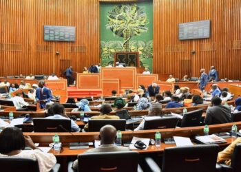 Démocratie représentative, démocratie participative : le peuple sénégalais a-t-il donné un mandat pour réviser la Constitution ?