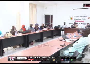 Viédéo/Elaboration et validation du plan d’action du Comité régional de gestion du handicap de Thiès.
