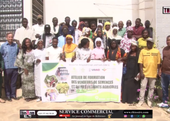 Vidéo/Formation des vendeurs de semences et intrants agricoles avec Seed Systems Group (SSG)
