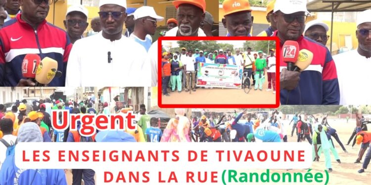 Vidéo/ Randonnée pédestre des enseignants du Tivaouane