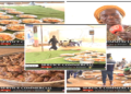 Vidéo/Kourel 18 Safar Touba Cité Senghor Thiès, des Bernde à gogo