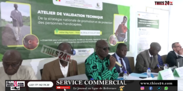 Vidéo/Promotion et protection des personnes handicapées, validation technique de la stratégie nationale