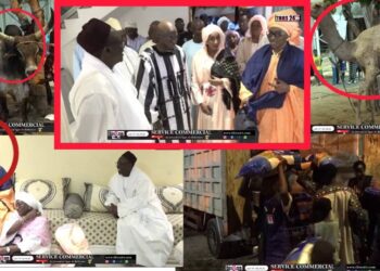 Vidéo/ Sokhna Baly Mbacké rend une visite de courtoisie à Serigne Khadim Lô Gaydel