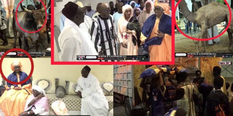 Vidéo/ Sokhna Baly Mbacké rend une visite de courtoisie à Serigne Khadim Lô Gaydel