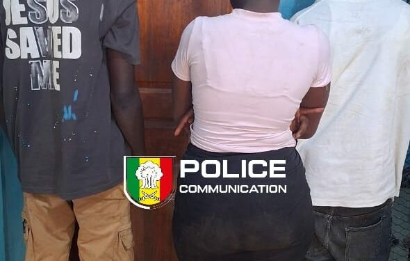 Association de malfaiteurs, vol en réunion avec violence, trois individus alpagués par la police