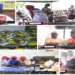 Vidéo/ Magal à Thiès, Tidianes et Mourides célèbrent Bamba et Cheikh chez Abdou Bâ Ndiéguène