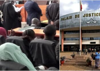 Accident : Le verdict est tombé pour le fils du ministre Alpha Thiam !