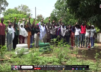 Vidéo/Une première, lancement de vacances agricoles au Lycée Malick Sy de Thiès