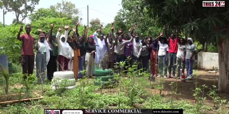 Vidéo/Une première, lancement de vacances agricoles au Lycée Malick Sy de Thiès