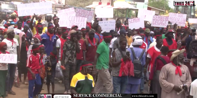 Vidéo/Mévente de l&rsquo;oignon, les maraîchers investissent la rue à Pout et accusent