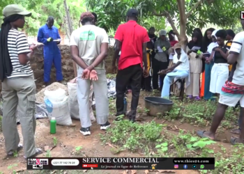 Vidéo/Vacances agricoles au Lycée Malick Sy Thiès, 4 ème module sur le compost