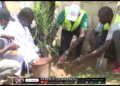 Vidéo/Kiiraay Thiès, set-setal, reboisement, don de climatiseur avec Massamba Diop MASLA)