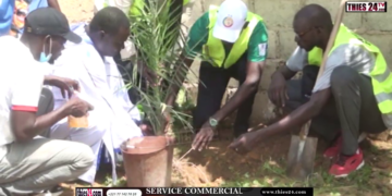 Vidéo/Kiiraay Thiès, set-setal, reboisement, don de climatiseur avec Massamba Diop MASLA)