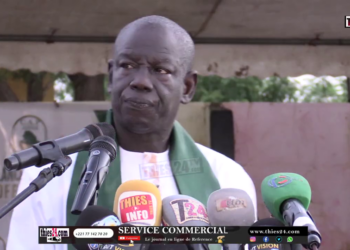 Vidéo/Chaud discours du socialiste Abdoulaye Wilane à Mont Rolland
