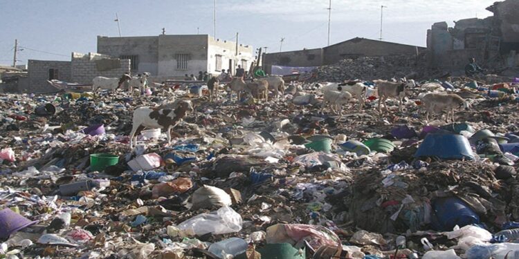Gestion des déchets : Le gouverneur de Thiès alerte sur les risques liés à la décharge de Keur Massamba Guèye