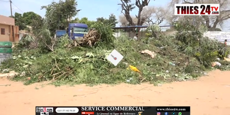 Vidéo/Forte mobilisation sociale pour le nettoyage du cimetière de Mbambara