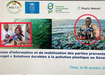 Lutte contre la pollution plastique, un projet pour éviter 33 000 t d’équivalent CO₂, réduire 9 000 t de déchets toxiques