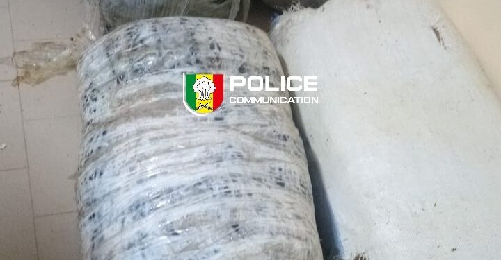 Saisie de chanvre indien à Mbour : 160,75 kg interceptés par la Brigade Régionale des Stupéfiants