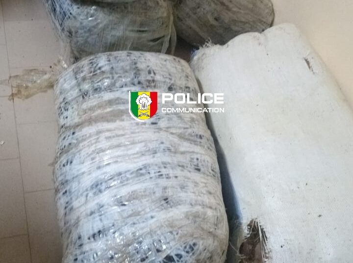 Saisie de chanvre indien à Mbour : 160,75 kg interceptés par la Brigade Régionale des Stupéfiants