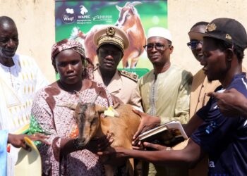 Élevage caprin : la Haute Autorité du Waqf et l’ONG Heifer engagent à Aéré Lao la remise des premières chèvres du projet WAPEC