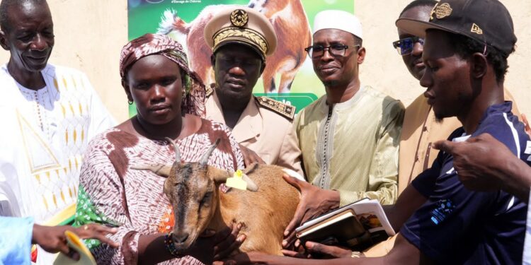 Élevage caprin : la Haute Autorité du Waqf et l’ONG Heifer engagent à Aéré Lao la remise des premières chèvres du projet WAPEC