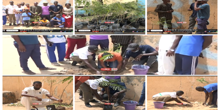Vidéo/Moustapha Fall Coordonnateur départemental des enseignants Kiiraay en mode reboisement à Darou Salam