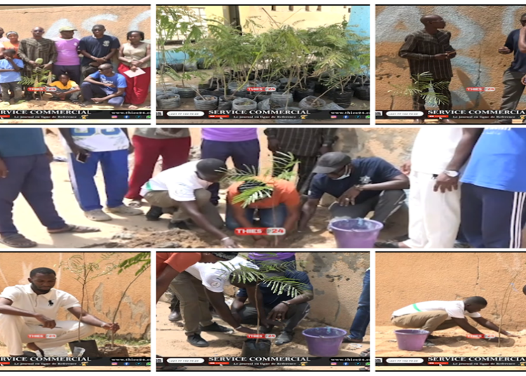 Vidéo/Moustapha Fall Coordonnateur départemental des enseignants Kiiraay en mode reboisement à Darou Salam