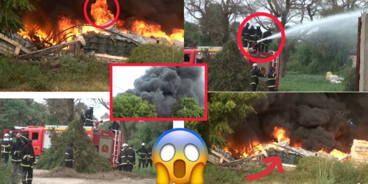 Vidéo/ Les images effarantes de l’incendie qui a ravagé le dépôt de l’usine Primo de Thiès