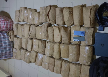 Insolite à Thiès : un enseignant livre 50 kg de chanvre indien à des policiers de l&rsquo;OCRTIS