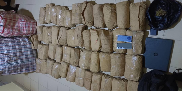 Insolite à Thiès : un enseignant livre 50 kg de chanvre indien à des policiers de l&rsquo;OCRTIS